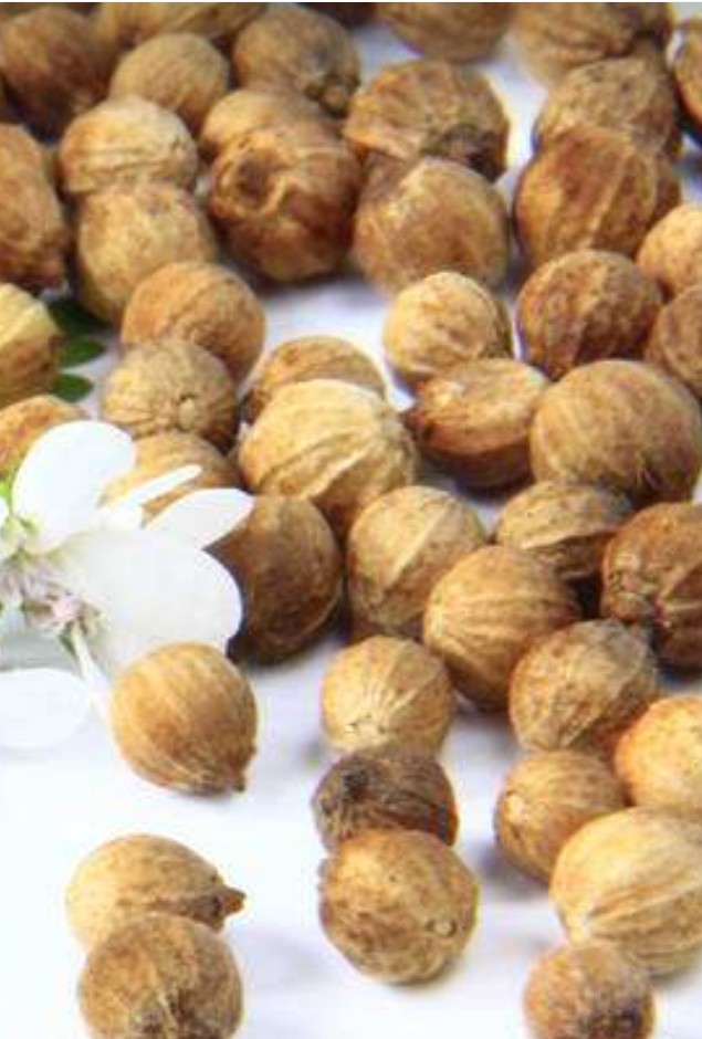 【原创散文阅读】有一种种籽叫有神又叫有鬼