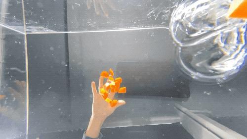 iPhone贺岁片超实用拍摄技巧分享，5招教你打造朋友圈爆款视频