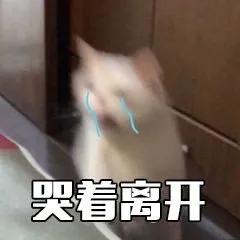 牛市已经彻底结束了吗,暴跌股票后期走势