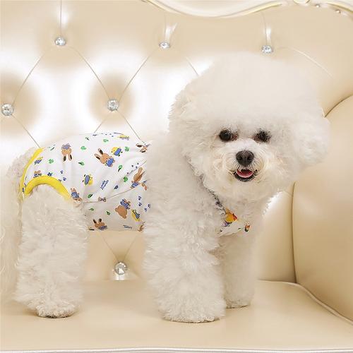 比熊生理期吃什么最好,小比熊生理期多长时间