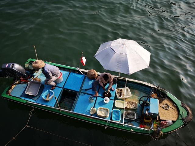 香港最后一片净土避世天堂,香港西贡一日游攻略图