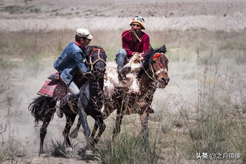 铁血雄鹰全剧,铁血雄鹰全文阅读