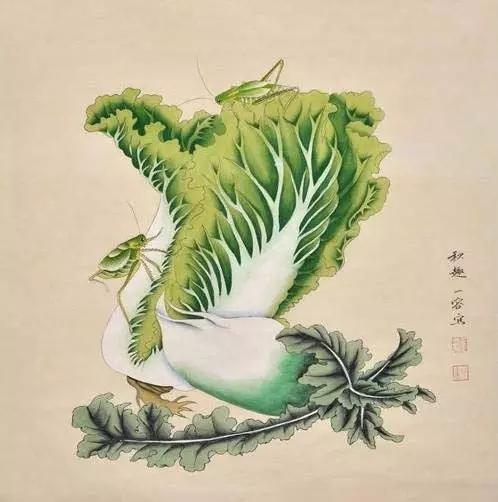 画白菜技法,3d白菜画