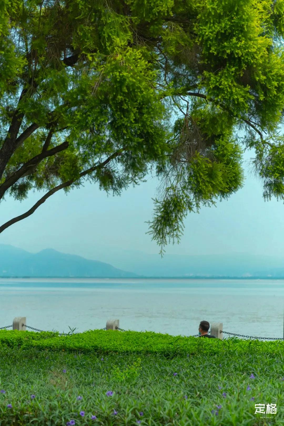 深圳周末打卡地点排行榜,深圳秋季打卡攻略