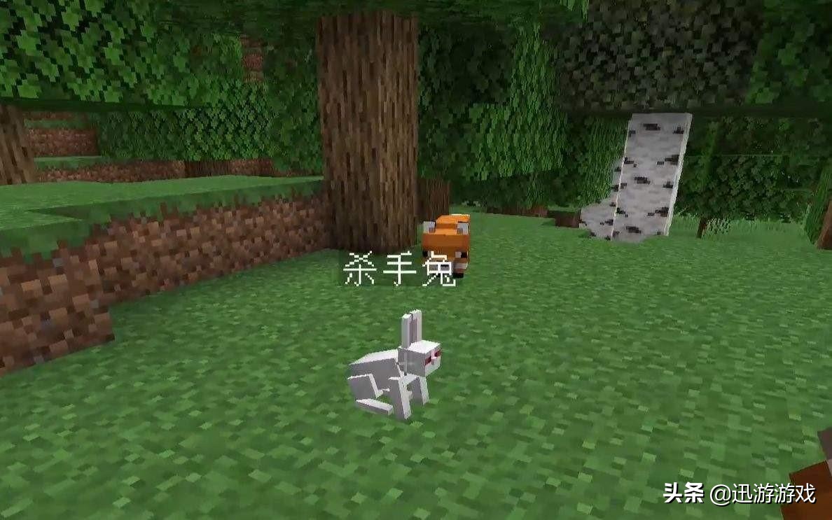 我的世界玩家遇到恐怖生物,我的世界玩家最怕什么