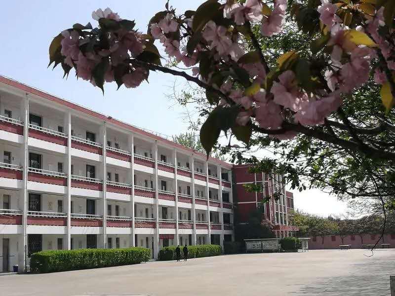 教师变身主播疫情网课不停,教师变主播心路历程