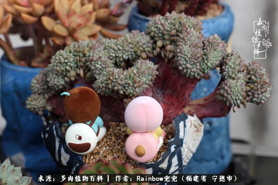 岁月无波澜余生不悲欢是啥意思,愿你岁月无波澜敬我余生无悲欢