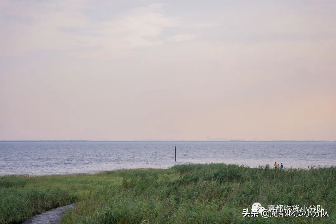 崇明岛地理位置独特,崇明岛过度开发