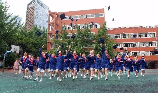 盐道街小学是五朵金花吗,五朵金花深度解析