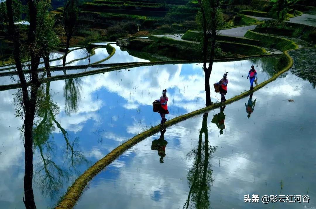 红河州森林氧吧景区,云端氧吧