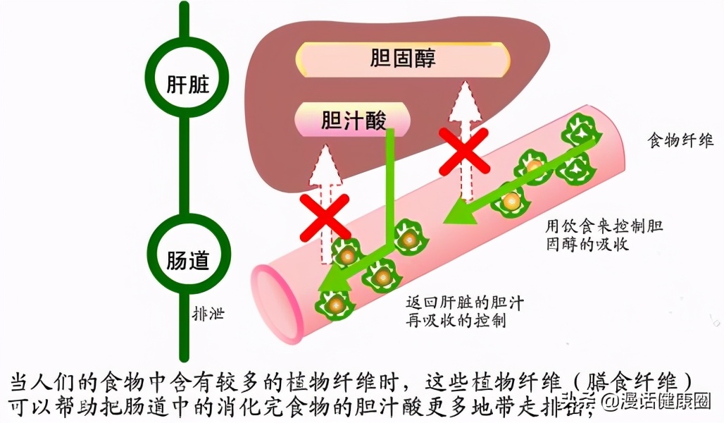 肝功的三项胆红素偏高医生说没事,胆红素三项高医生说没事让多喝水