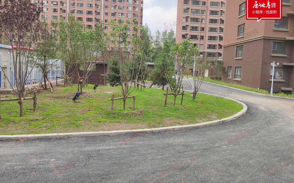 配套成熟的二手房与有规划的新房,有配套的房子