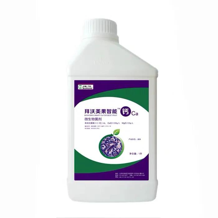 樱桃缺钙是什么情况,大樱桃补钙过多会怎么样