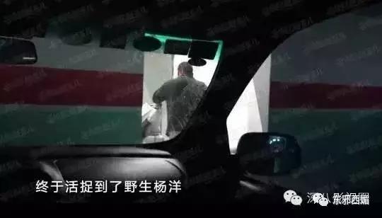 敢爱不敢认？我更关心一百万的包三亿的别墅和歌帝梵做的脏脏包