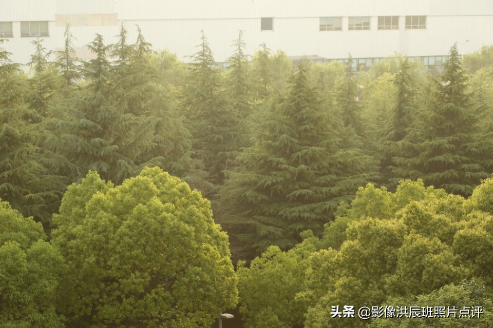 黑色背景怎么拍出质感产品,摄影黑色背景怎么拍得更黑