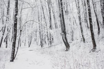 情感音乐挪威的森林,听懂挪威的森林