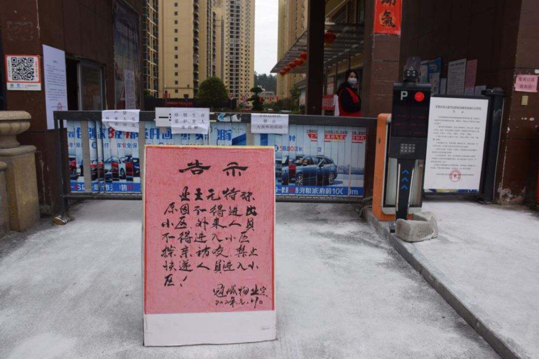 湖北随州疫情上央视,抗击疫情上央视