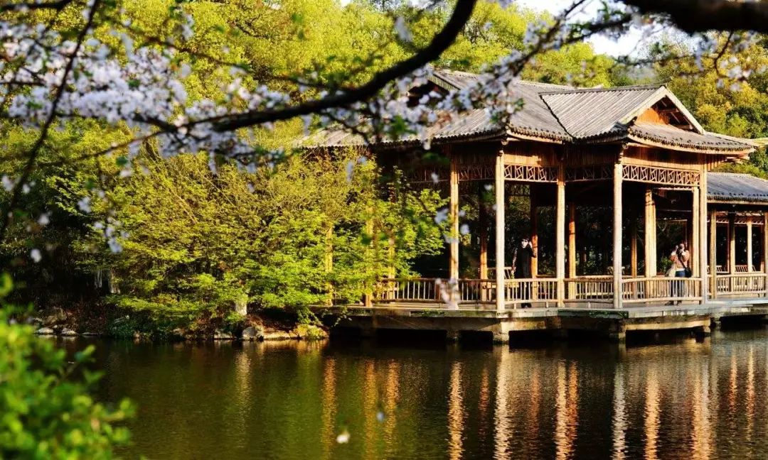 花港一楼茶楼,花港公园一元早茶