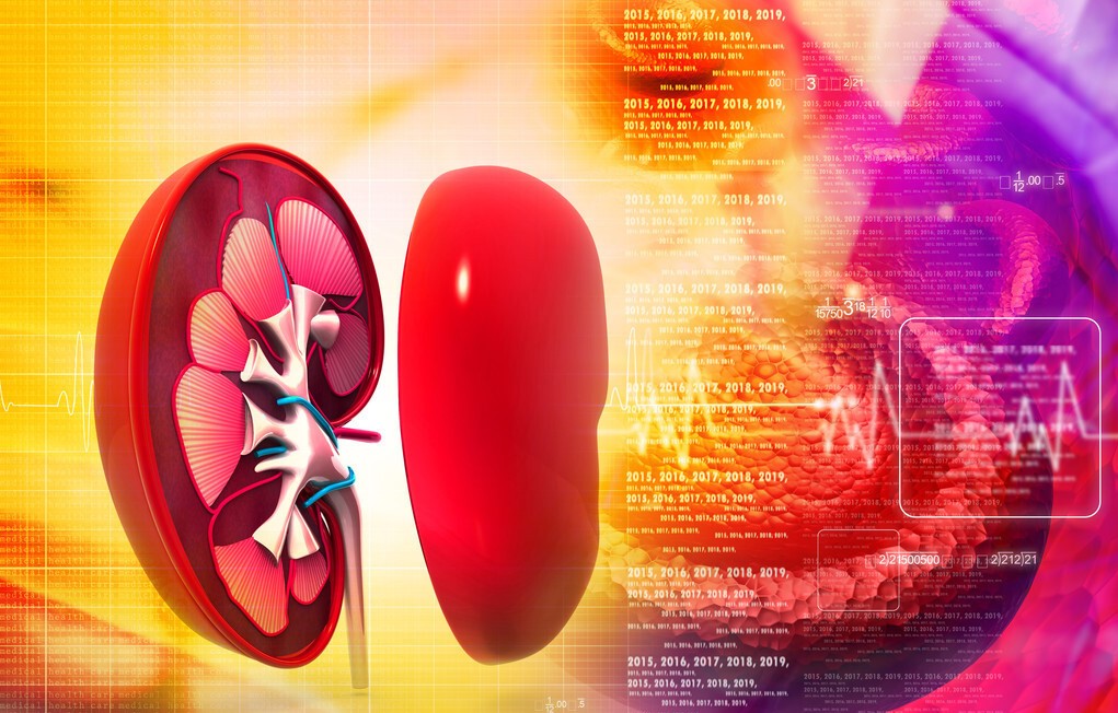 有高血压又有血管狭窄怎么办,高血压引起肾有问题看哪个科室