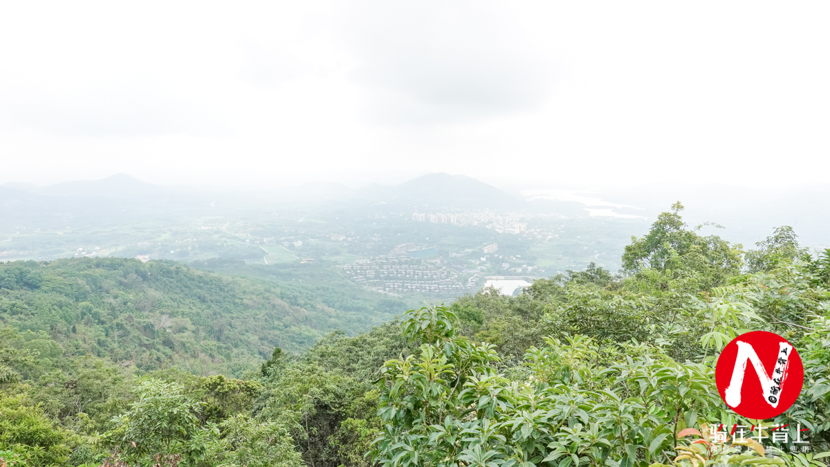 三亚呀诺达热带雨林文化区简介,三亚呀诺达热带雨林开业了吗