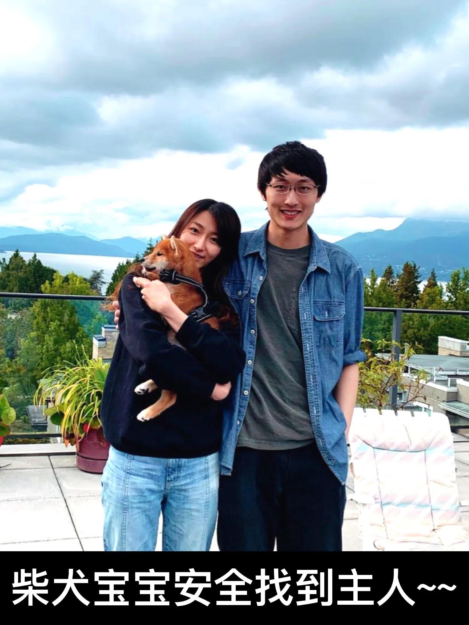 柴犬马来西亚哪里能买到,柴犬购买线下渠道