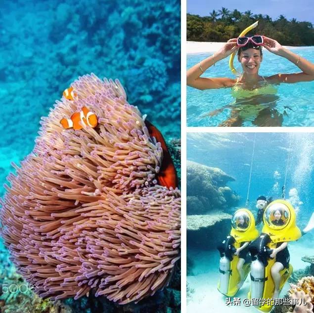 澳大利亚有哪些旅游胜地,澳大利亚有什么好玩的免费景点