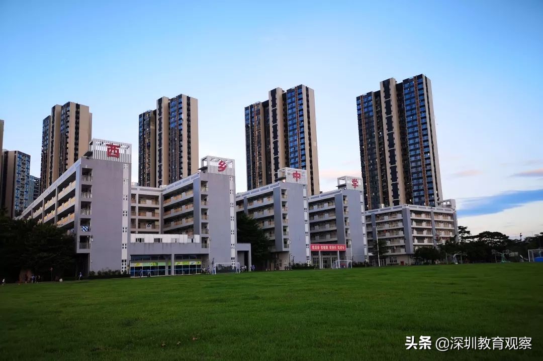 走名校vol.14|西乡中学：50年，我们专注做一件事