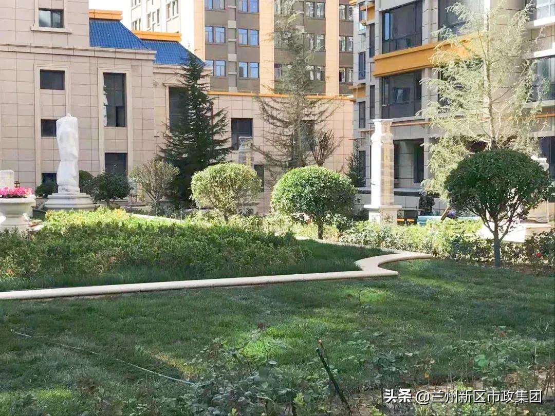 鍏板窞鏂板尯涔惧厓閲戞捣鍥介檯鍥灄缁垮寲,鍖犲績甯傛斂