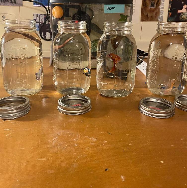 外国女子救下崩溃男子,外国女生救斗鱼