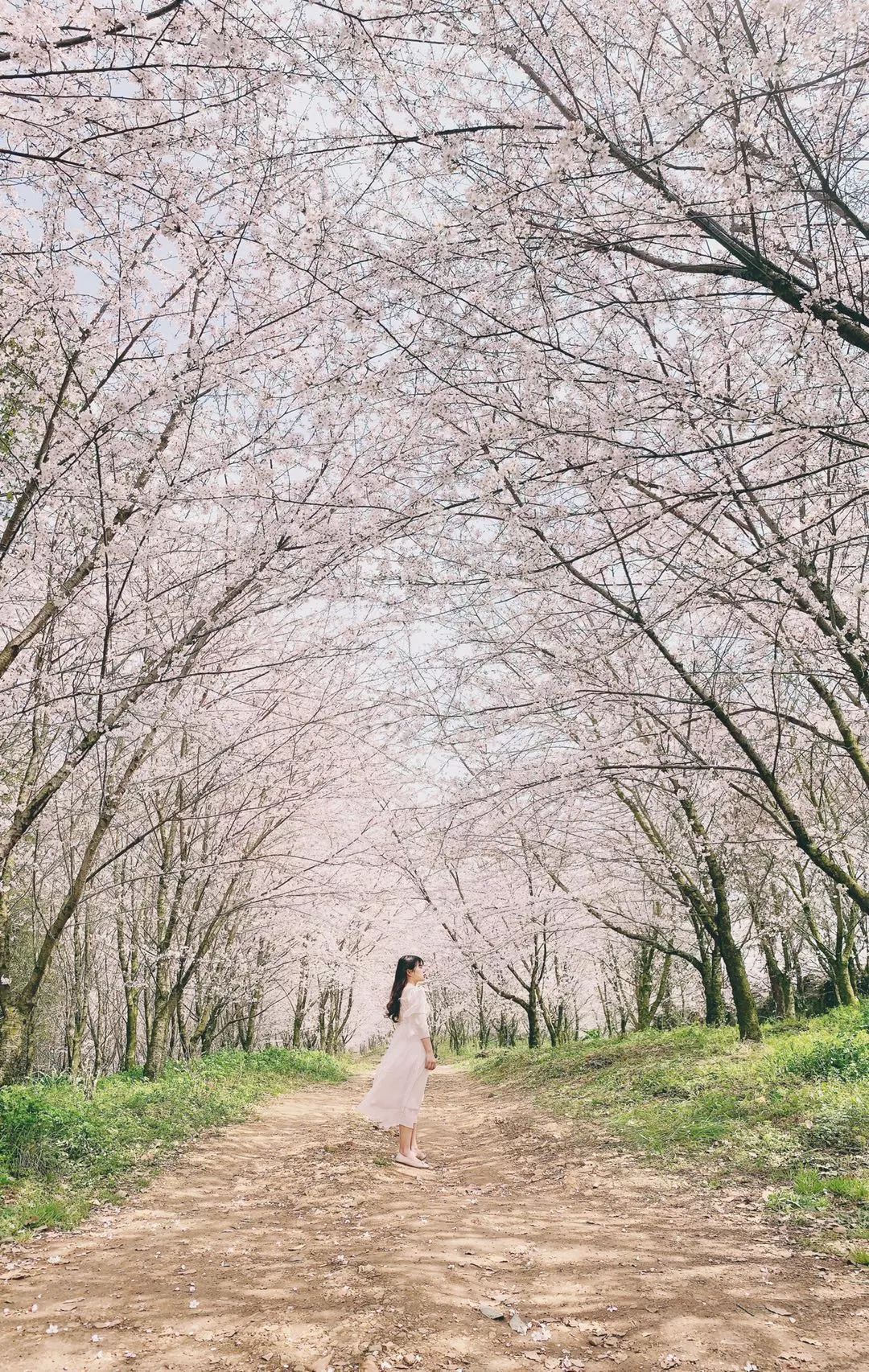 新手iphone必调设置,新手入门iphone怎么用