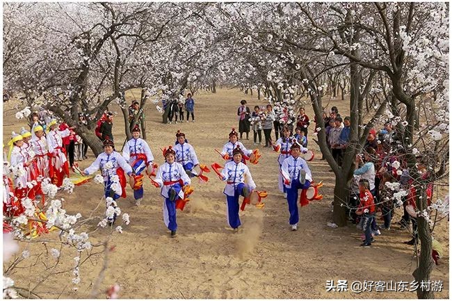 济南春季赏花自驾,济南踏青赏花新模式