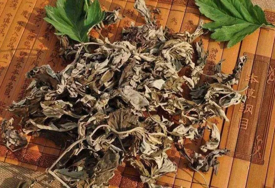 艾灸祛疣是艾灸疣体吗,艾灸治疗赘疣