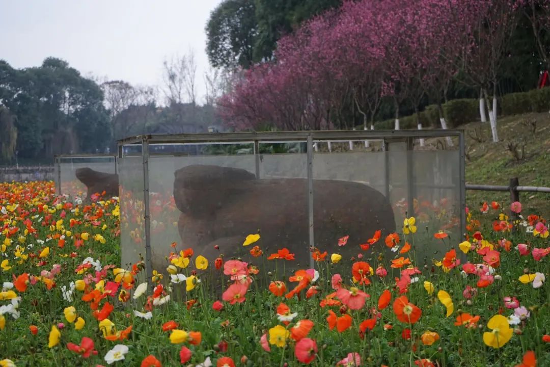 陆游春节的诗,陆游写的关于成都的诗