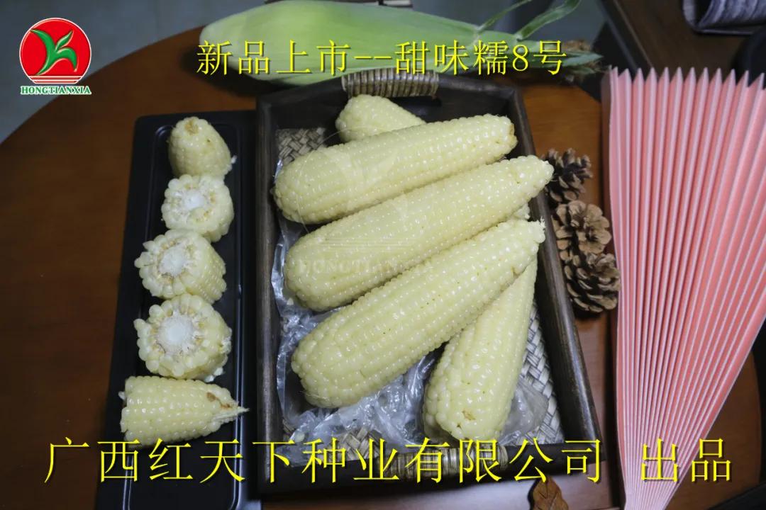 超香甜糯玉米图片,很好吃很糯的玉米