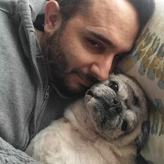 狗子太粘人咋整,家里狗子忽然很粘人