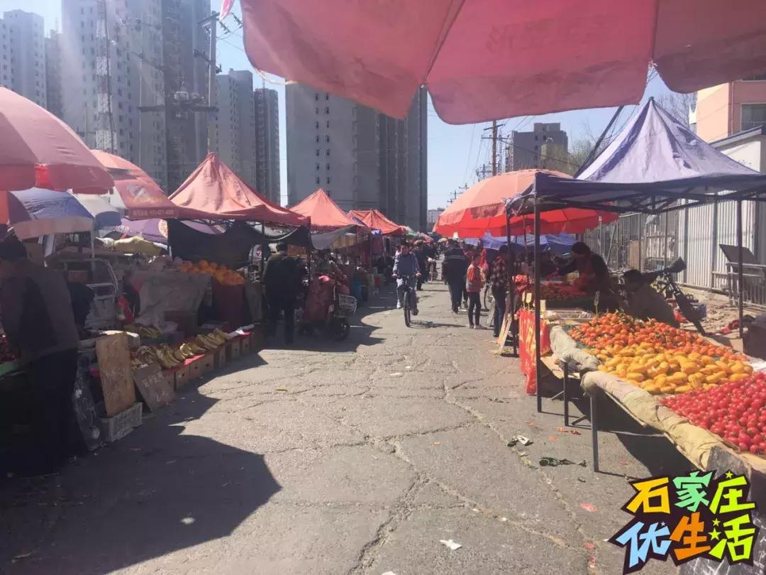 夹缝里生存,夹缝中生存