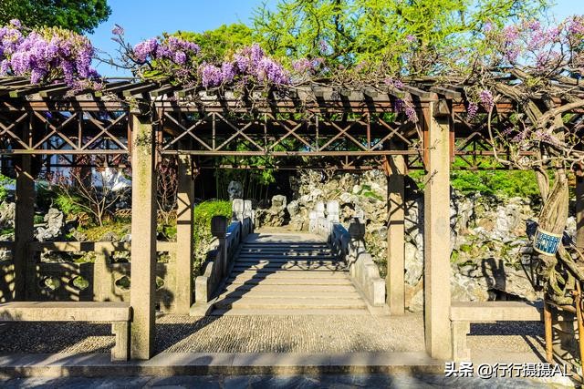 苏州园林狮子林附近,苏州园林之狮子林赏析