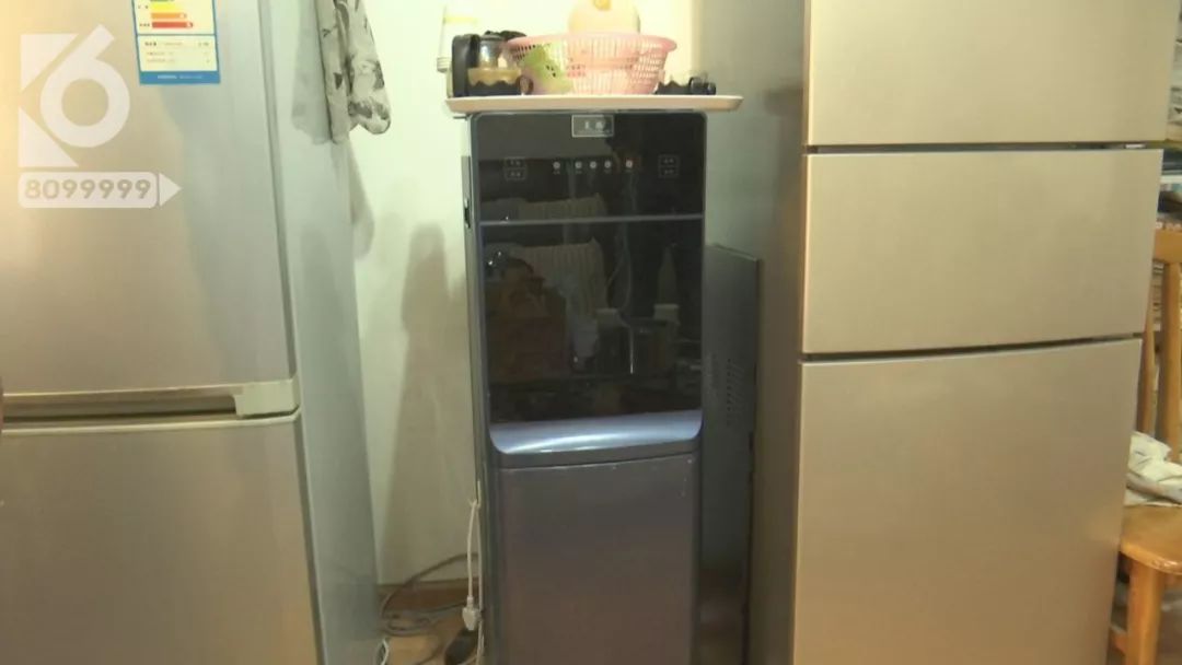 饮水机里全是蟑螂,饮水机里有蟑螂的处理方法