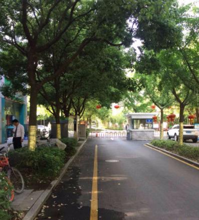 南京仙林值得买的房,南京仙林买房攻略