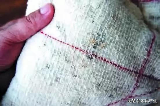 南方人家里一年四季都在发霉？这份除霉秘籍快收好