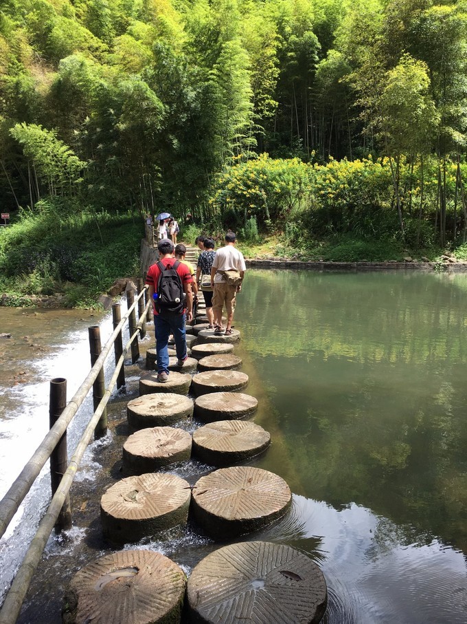 广州从化溪头村一日游出游攻略,从化溪头村自驾游攻略视频