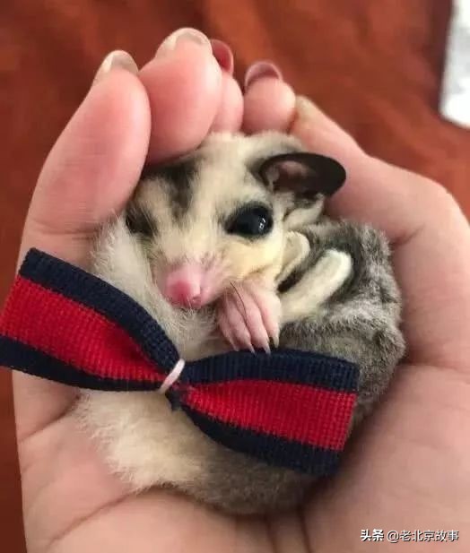 官园拆迁安置房,官园拆迁安置房拿房时间