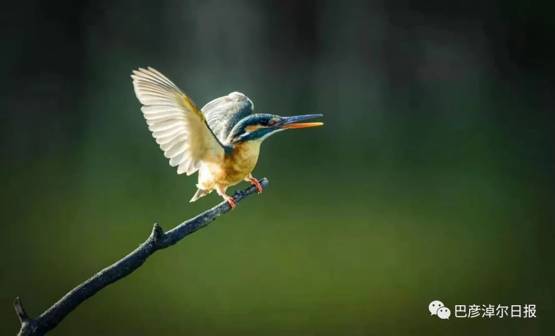 巴彦淖尔五一去处,巴彦淖尔市端午小长假适合去哪玩