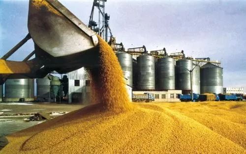 农村卖粮被骗怎么解决,怎么杜绝卖粮被骗