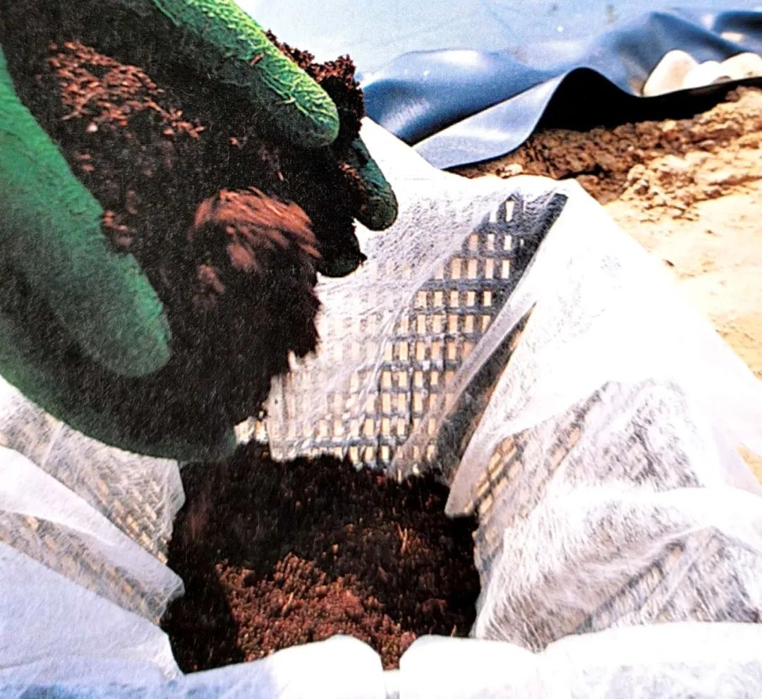 怎么让植物在水面上种植,什么植物可以种植在池塘里面