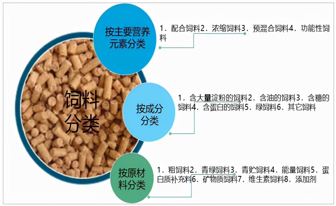 2022年中国饲料行业分析报告,中国饲料发展趋势论文1500字