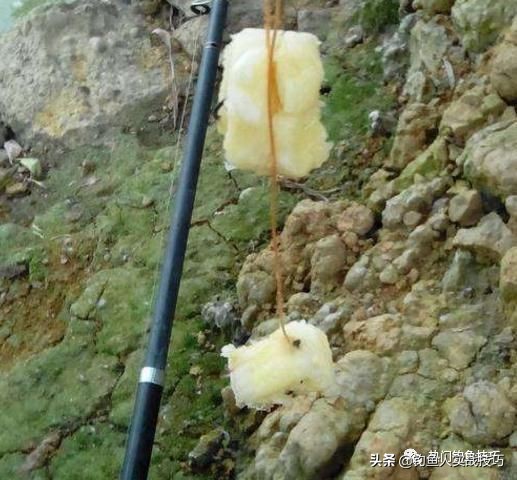 简简单单吃一条鱼,简简单单一根鱼竿就可以钓鱼