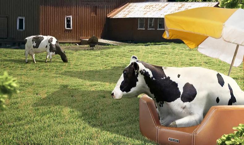 房地产大佬买东西,房地产大佬2000亿