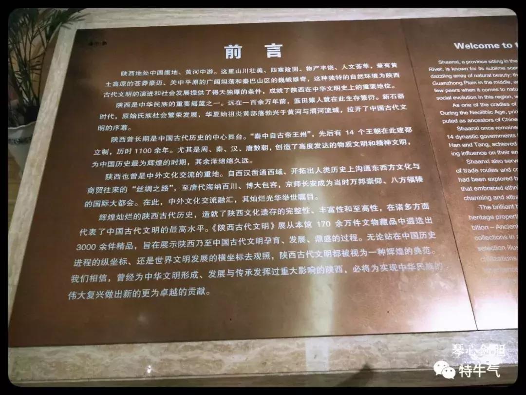 赤金走龙陕西历史博物馆,陕西历史博物馆抢票攻略