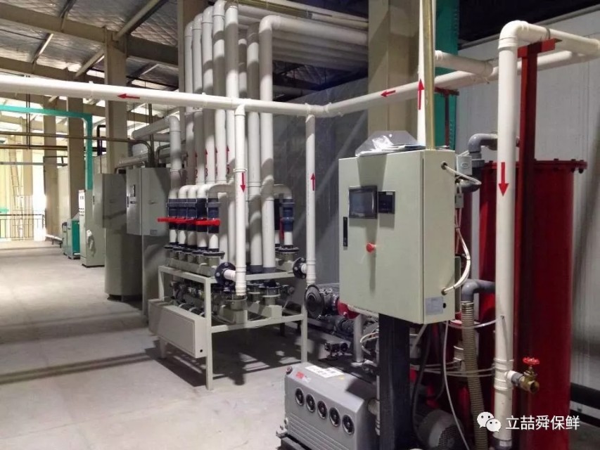 李子保鲜是存放冰箱吗,李子保鲜杀菌消毒